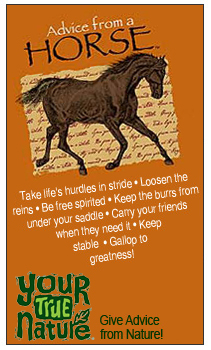 Your True Nature Greeting Cards