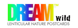 Dream� Wild Lenticular 3-D Nature Postcards