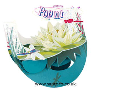 Popnrock™ Cards from Santoro Graphics