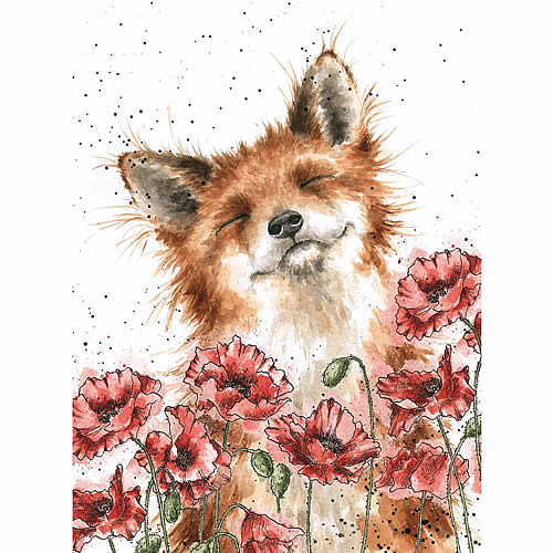 Poppy Field Card (Fox) - Click Image to Close