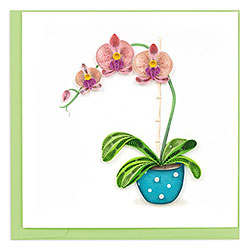 Potted Orchid Card